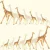 Papel De Parede Dwell Baby + Kids Dw2361