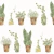 Papel De Parede Fiori Country 7 7538