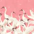 Papel de Parede Cisnes Rosa (m2) - comprar online