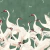 Papel de Parede Cisnes Verde (m2) - comprar online