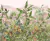 Painel de Parede Biomas 83264 (m2)