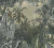 Papel de Parede Art Papier My Home My Spa 383563 papel de parede tropical vintage, fundo bege acinzentado, folhagem verde oliva e musgo, tons envelhecidos, visual esmaecido, estilo retrô tropical, floresta ilustrada com efeito desgastado