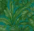 Papel de Parede Versace V 962406