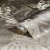 Papel De Parede Botanica 33303