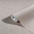 Papel De Parede Botanica 33327