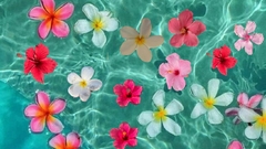 Banner de la categoría BIKINIS SALE!