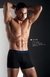 Boxer Lody art. 742