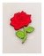 Aplique em Acrílico Rosa (5 peças)