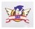 Aplique em Acrílico Logo Sonic Colorida com Nome Simples (3 peças)