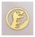 Aplique em acrílico Moldura com Dinossauro (5 Peças)