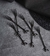 AZIA | Set seis pinchos - comprar online