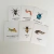 Flashcards Insectos y Bichos en internet