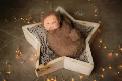 Estrela acompanhamento - loja online