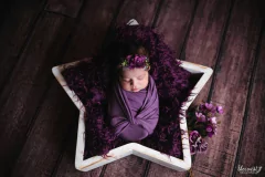 Estrela acompanhamento