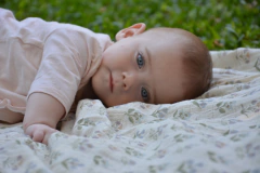 Swaddle Estocolmo (Mantita-Babita) en internet