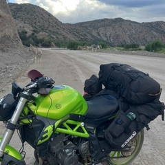 Camaleón 80Lts
