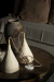 Lampara Bacana Flaca Arena/ Hueso/ Gris/ Negro PRE ORDER en internet