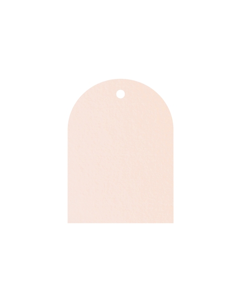 Tag arco salmão (20 unidades)