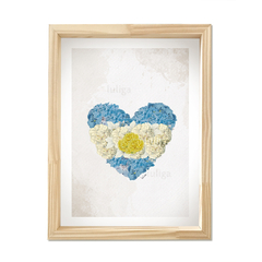 Cuadro Argentina - tienda online