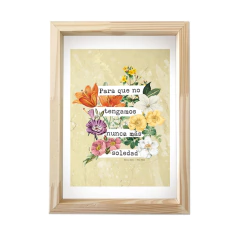 Bello Abril - luliga