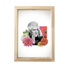 Cuadro Almodóvar en internet