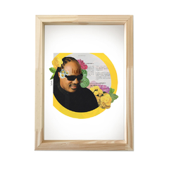 Cuadro Stevie Wonder - luliga