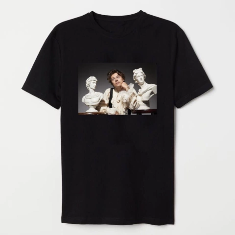 Remera Harry Styles #11