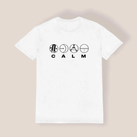 Remera 5SOS CALM