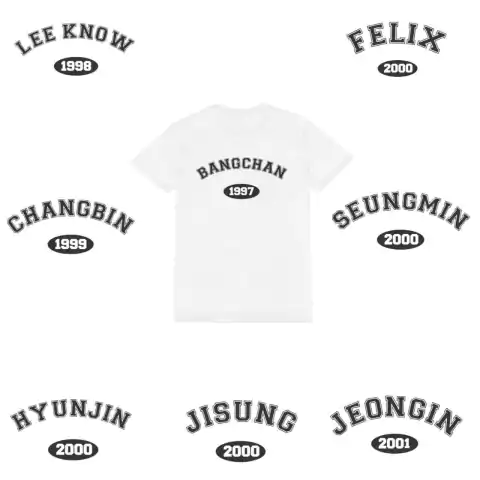 Remera Stray Kids est.