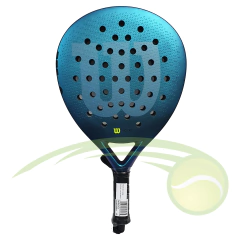 Paleta Wilson - Accent en internet