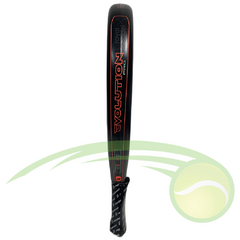 Paleta Royal - Evolution 24 en internet