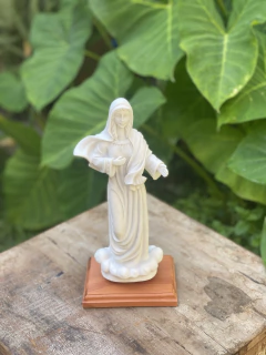 Nossa Senhora da Paz - Marmorite (20cm) na internet