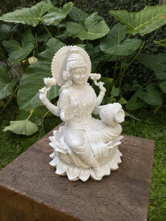 Lakshmi Marmorite (30cm) na internet
