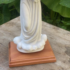 Imagem do Nossa Senhora da Paz - Marmorite (20cm)