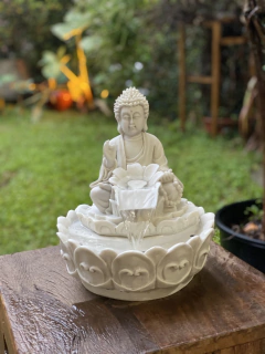 Fonte Buda Lótus P