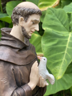 Escultura São Francisco de Assis - Resina Veronese (30cm) - comprar online