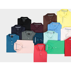 CAMISA POLO BASICA OGOCHI - loja online