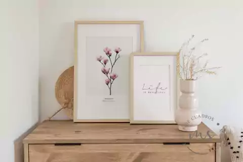 Set magnolia