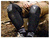 Rodilleras Thor Static - Outlet Motero