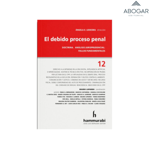 Debido proceso penal. 12