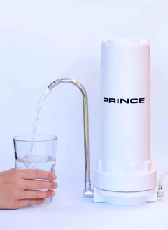 Purificador MP70 Prince Tipo Carcasa en internet