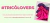 Imagem do banner rotativo Rosa Store Moda Feminina