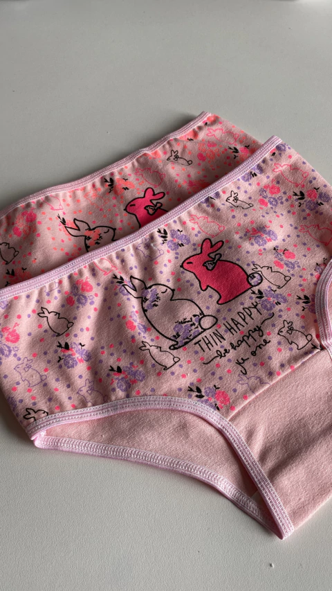 PACK x6 - Bombacha Nena Rosa - comprar online