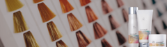 Banner da categoria Color Motion+