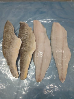 FILET DE CORVINA CONGELADA x kilo - comprar online