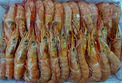 LANGOSTINO ENTERO CRUDO NACIONAL x 2 kg. - comprar online