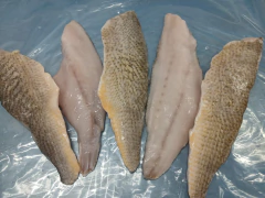 FILET DE CORVINA CONGELADA x kilo