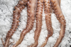 PULPO ESPAÑOL x 1,5 kg