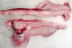POLLO DE MAR CONGELADO x kilo - comprar online