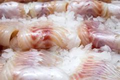 FILET DE ABADEJO CONGELADO x kilo en internet